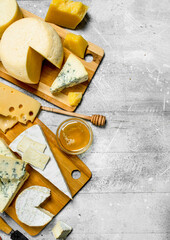 Different kinds of cheese with honey. - 561677234