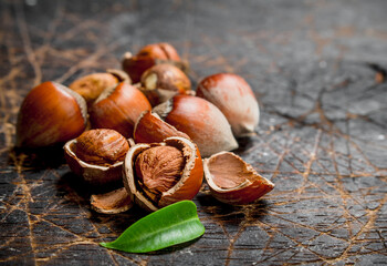 Hazelnut with green leaves .