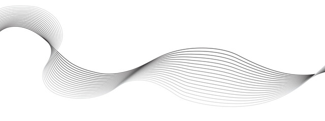 Fototapeta premium Abstract grey lines on white background. Abstract wave white paper background. Vector Illustration 