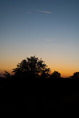 Three planes flying overhead at sunset