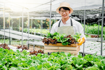 Obraz premium Happiness Asian Man gardener Working with freshness vegetable hydroponic greenhouse in hydroponic farm