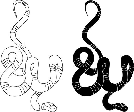 red snake vector.Lampropeltis triangulum vector.Sticker and hand drawn snake for tattoo.Red snake Reptile on white background.