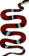 red snake vector.Lampropeltis triangulum vector.Sticker and hand drawn snake for tattoo.Red snake Reptile on white background.