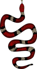 Obraz premium red snake vector.Lampropeltis triangulum vector.Sticker and hand drawn snake for tattoo.Red snake Reptile on white background.
