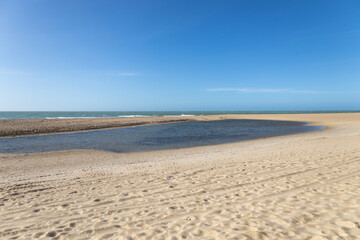 Fototapeta na wymiar Serene Deserted Beach: Clear Skies and Open Sands in Midday