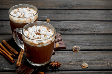Hot chocolate with cinnamon and marshmallows.