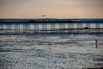 sunset on the beach