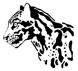 clouded leopard head vector illustration black and white	