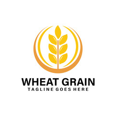 Fototapeta premium wheat grain logo icon vector isolated
