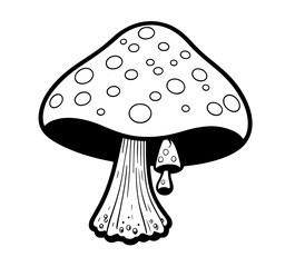 Mushroom and baby mushroom