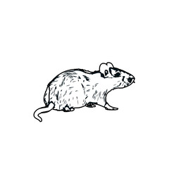 black and white sketch of a mouse with a transparent background