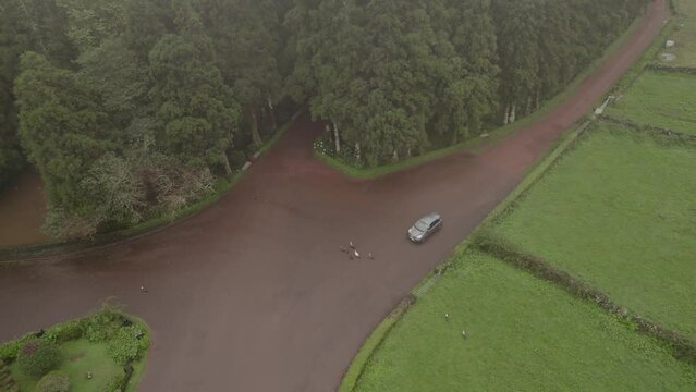 Ducks cross road in front of car - Parque Florestal das Sete Fontes, foggy drone