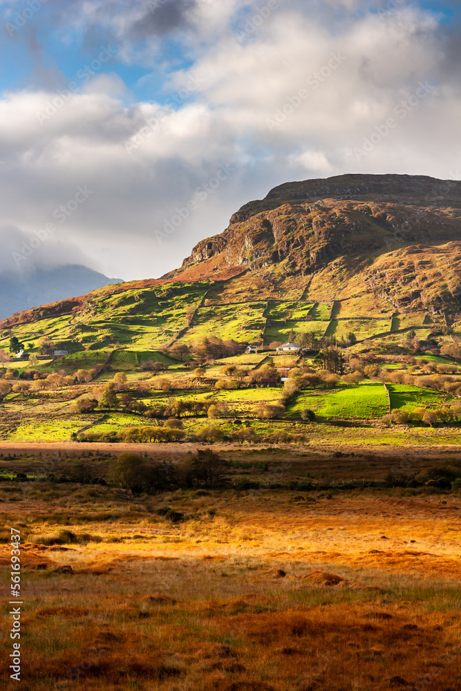 Canvas Prints sunlight and green fields in the irish countryside