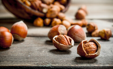 Hazelnuts in the shell.