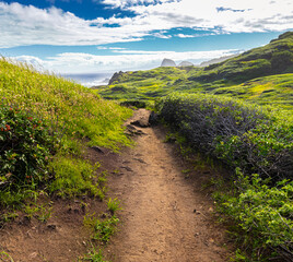 Fototapeta na wymiar The Ohai Trail on The Maui Shoreline, Maui, Hawaii, USA
