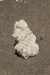 the coral rocks in the beach sand
