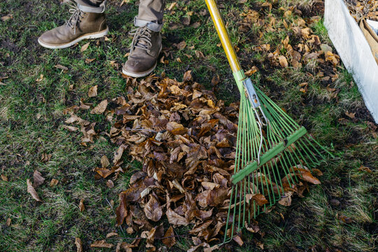 rake in the ground