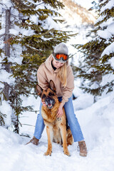 Walking with a pet German Shepherd in the winter forest. Traveling with a pet, a faithful companion.