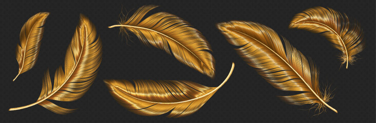 Gold feathers, bird wings plumage. Luxury vintage pen from quills. Soft fluffy golden feathers flying in air isolated on transparent background, vector realistic illustration