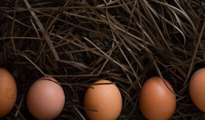 Chicken eggs in a nest of hay. Photo from mockup