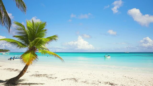 Panorama of an idyllic tropical beach with coconut trees facing the sea. Small island in Maldives surrounded by turquoise blue waters on a sunny summer day. White boat on the blue waves of the ocean.