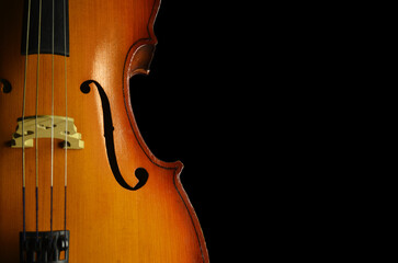 Beautiful cello on a  dark background. Violoncello close-up.