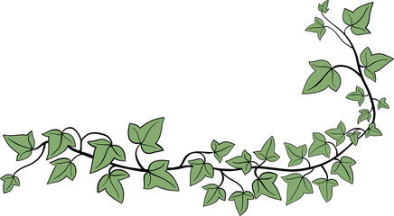 Simplicity ivy freehand drawing flat design.