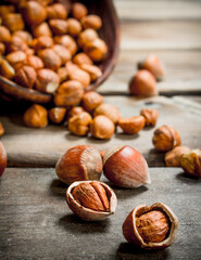 Hazelnuts in the shell.