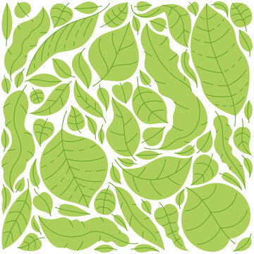 Tropical Tree Green Leaves Pattern. Background Doodle. Editable Outline Stroke. Vector Illustration.