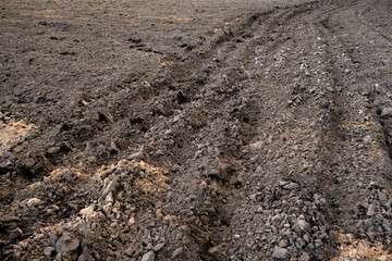 The arable field is ready for spring agricultural work. Plowed black soil