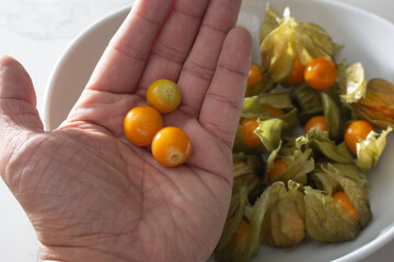 A top down view of a hand holding some gooseberries.