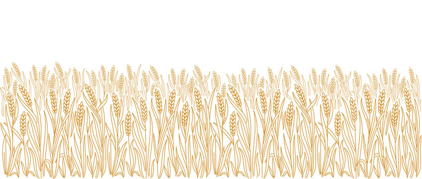 Wheat field. Vector line. Editable outline stroke. Design wrapper of bakery.