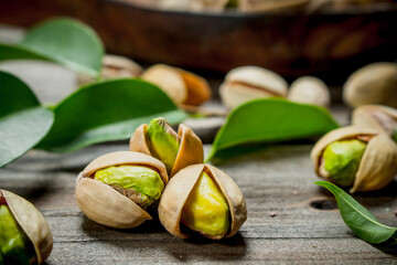Pistachios with green leaves .