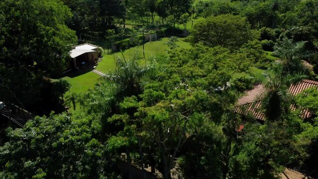 Drone Flying Over Green Trees Revealing Beautiful Cottage House In Paraguay
