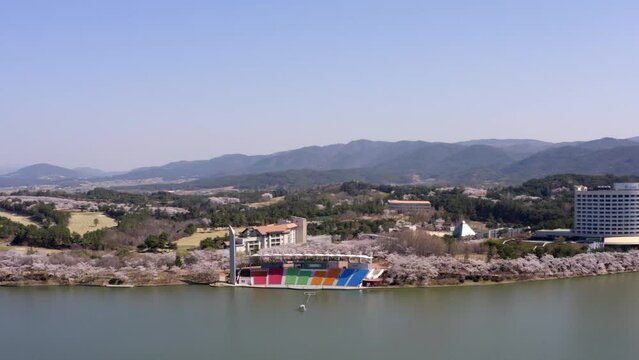 Cherry Blossom Aerial View at Bomun Park, Gyeongju, South Korea, 