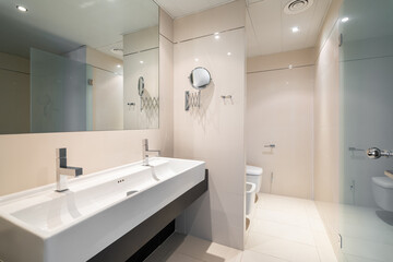Large bathroom is divided into zones with large square full length mirror and rectangular sink with two faucets built into wall, an area with toilet with bidet and shower area with glass partition.