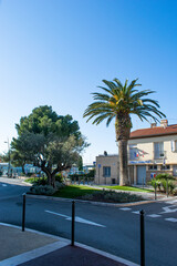 Fototapeta na wymiar Saint Trope street with palm tree