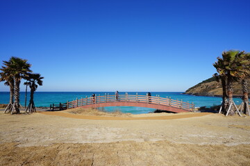 fine seaside bridge and distant island