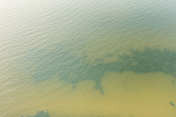 The color of sea water in the Narva Bay. The coastal strip. Shooting from a drone. Green sea water. The North Sea. Natural background.