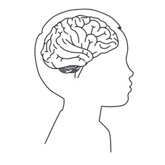 Human childrens brain. Linear vector illustration isolated on white background