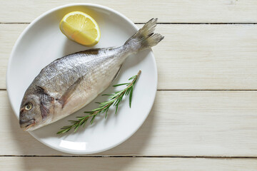 Dorado, raw fresh uncooked fish, rosemary and lemon, on plate, on white wooden board background, top view, space to copy text, full depth of field.