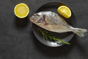 Dorado, raw fresh uncooked fish, source of omega 3, lemon yellow and green rosenary, on dark background, top view, space to copy text