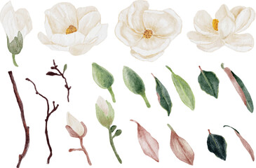 watercolor white magnolia flower and leaf bouquet elements collection - obrazy, fototapety, plakaty