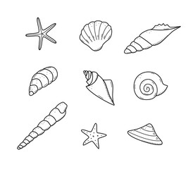 A set of seashells contour doodle. Vector illustration of a collection of shells, isolate on white.