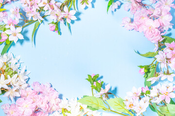 Obraz na płótnie Canvas Beautiful spring nature background with blossom flowers, petal on light blue background , top view, frame. Springtime holiday flat lay copy space