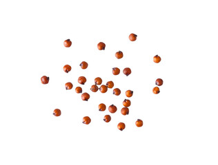 red quinoa isolated on transparent png