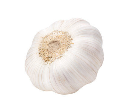 garlic on transparent png