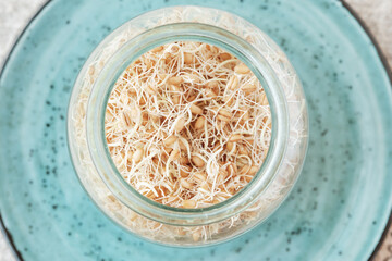 Glass jar with sprouted wheat grains on a blue plate. Top view. Selective focus.