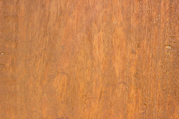 Bright wood texture background surface