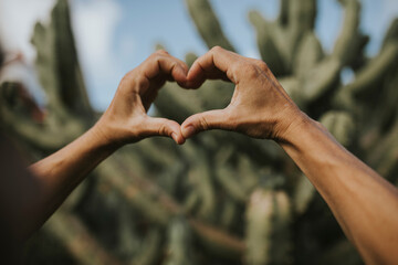 Hands of woman gesturing heart shaped in front of cactus plants